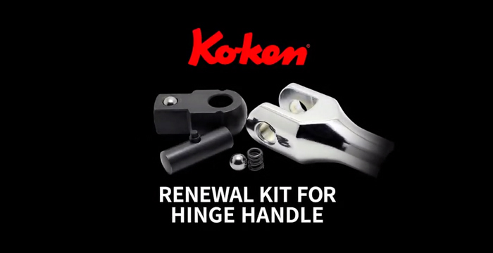 RENEWAL KIT for HINGE HANDLE